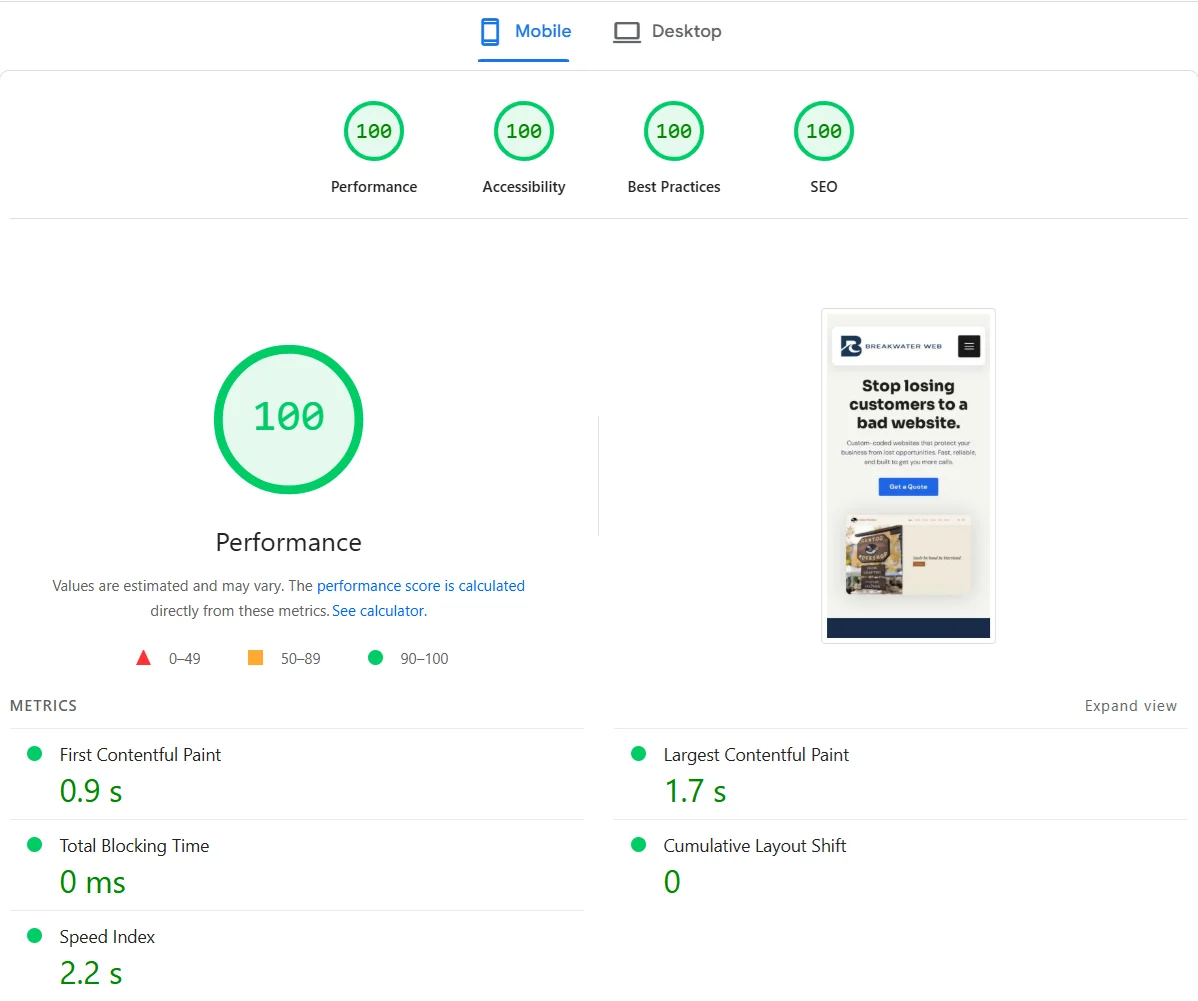 Mobile PageSpeed score showing 100 across all categories
